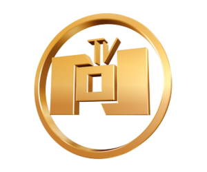 NTV 101
